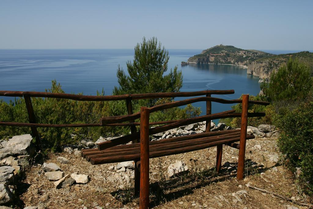 Hotel L'Antica Torre Del Porto Palinuro Esterno foto